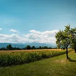 Апартаменты Prima Countryside Near Bled