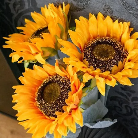 Apartman Prima Countryside