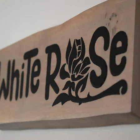 Prima Countryside * Zirovnica