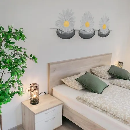 Prima Countryside Zirovnica