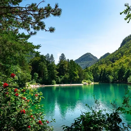 Appartamento Prima Countryside Near Bled *