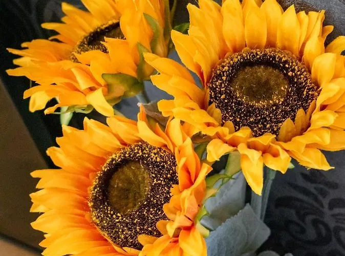 アパート Prima Countryside